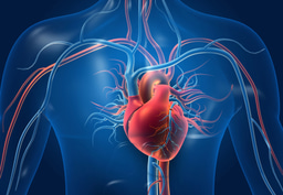 Hypertension: causes and measurement