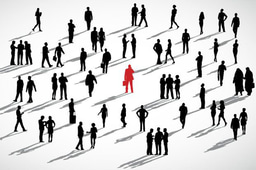 Networking and communication skills
