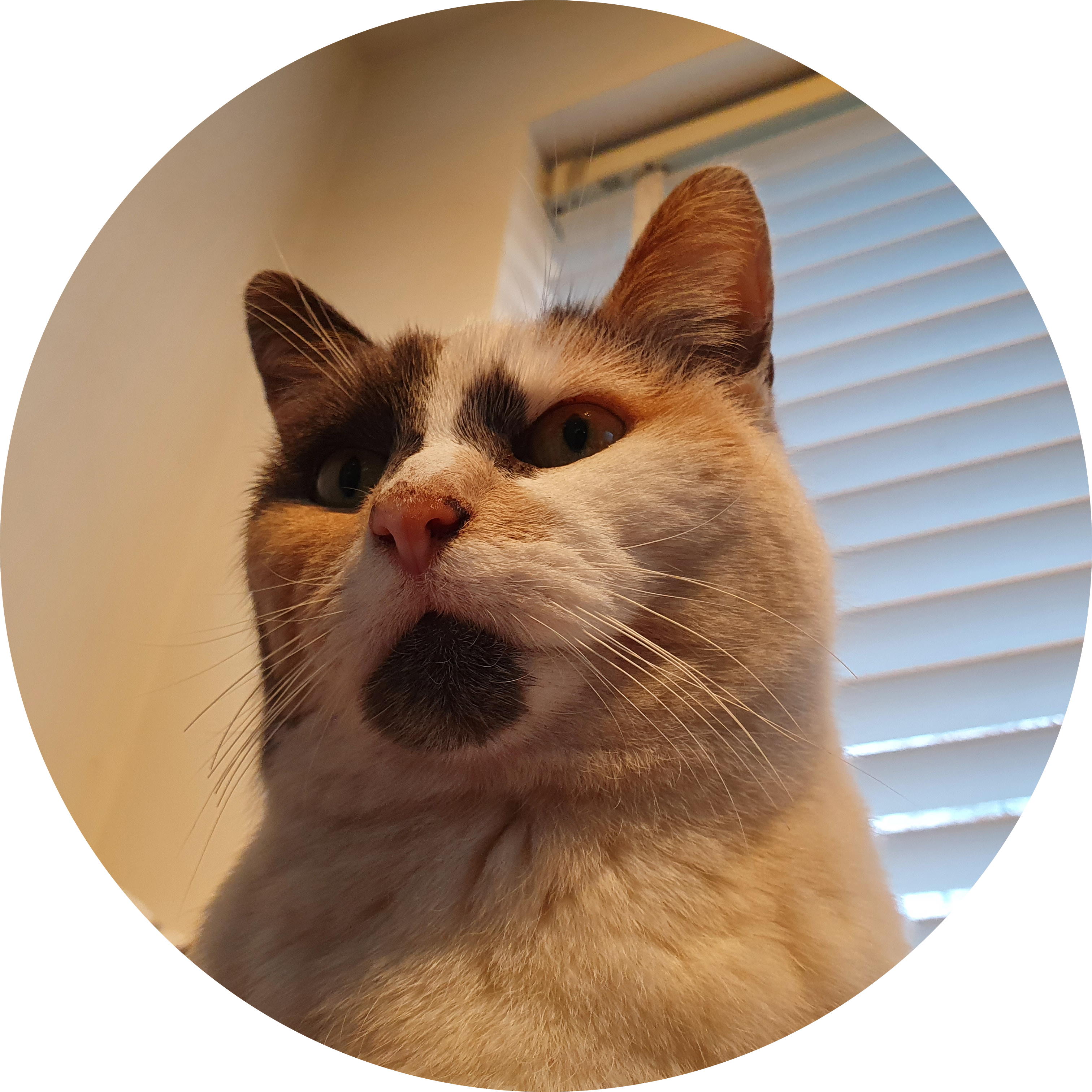 Go to the profile of Jason naylor