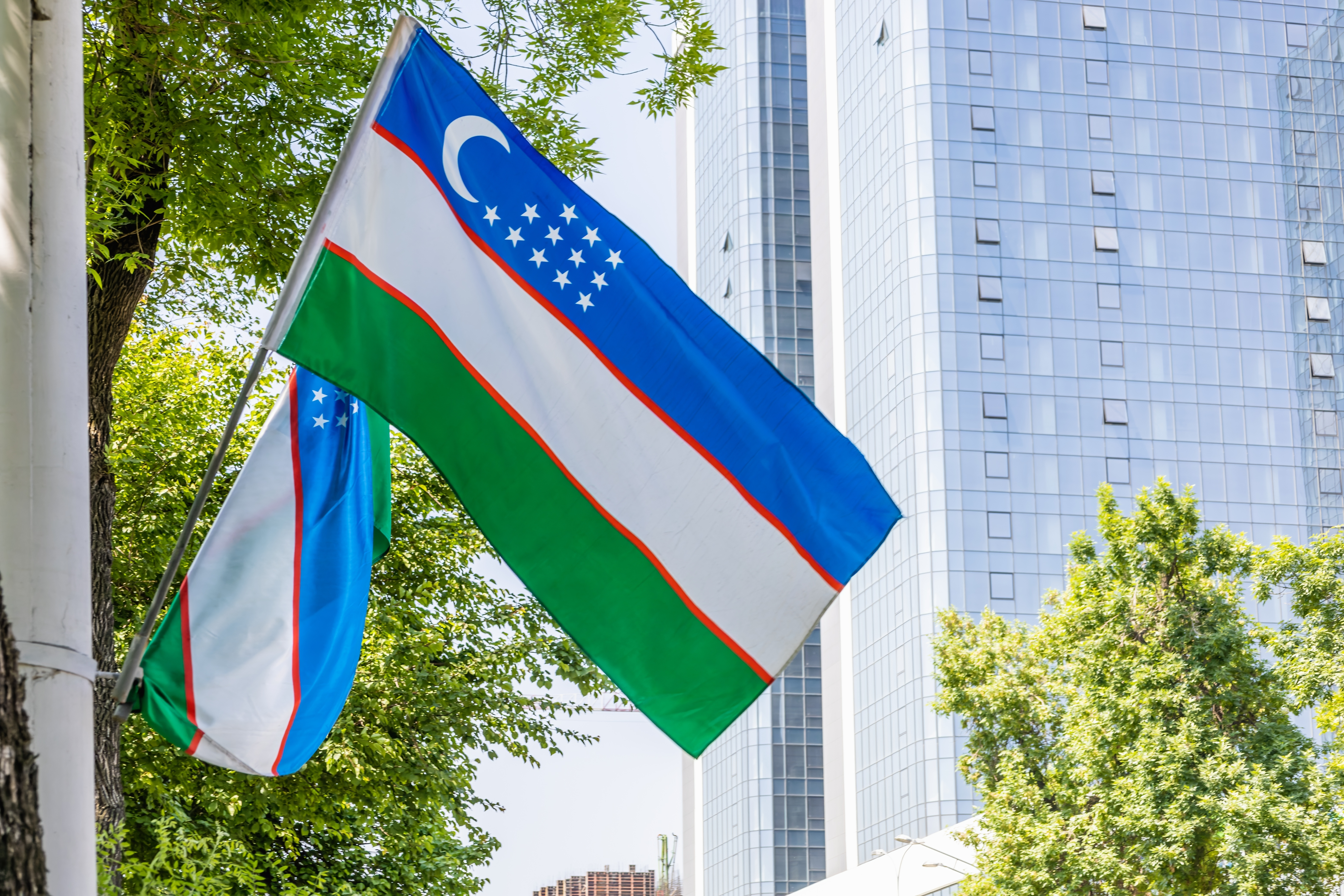 University offers pharmacy degree in Uzbekistan