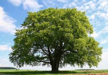 Go to the profile of Damien Steenson