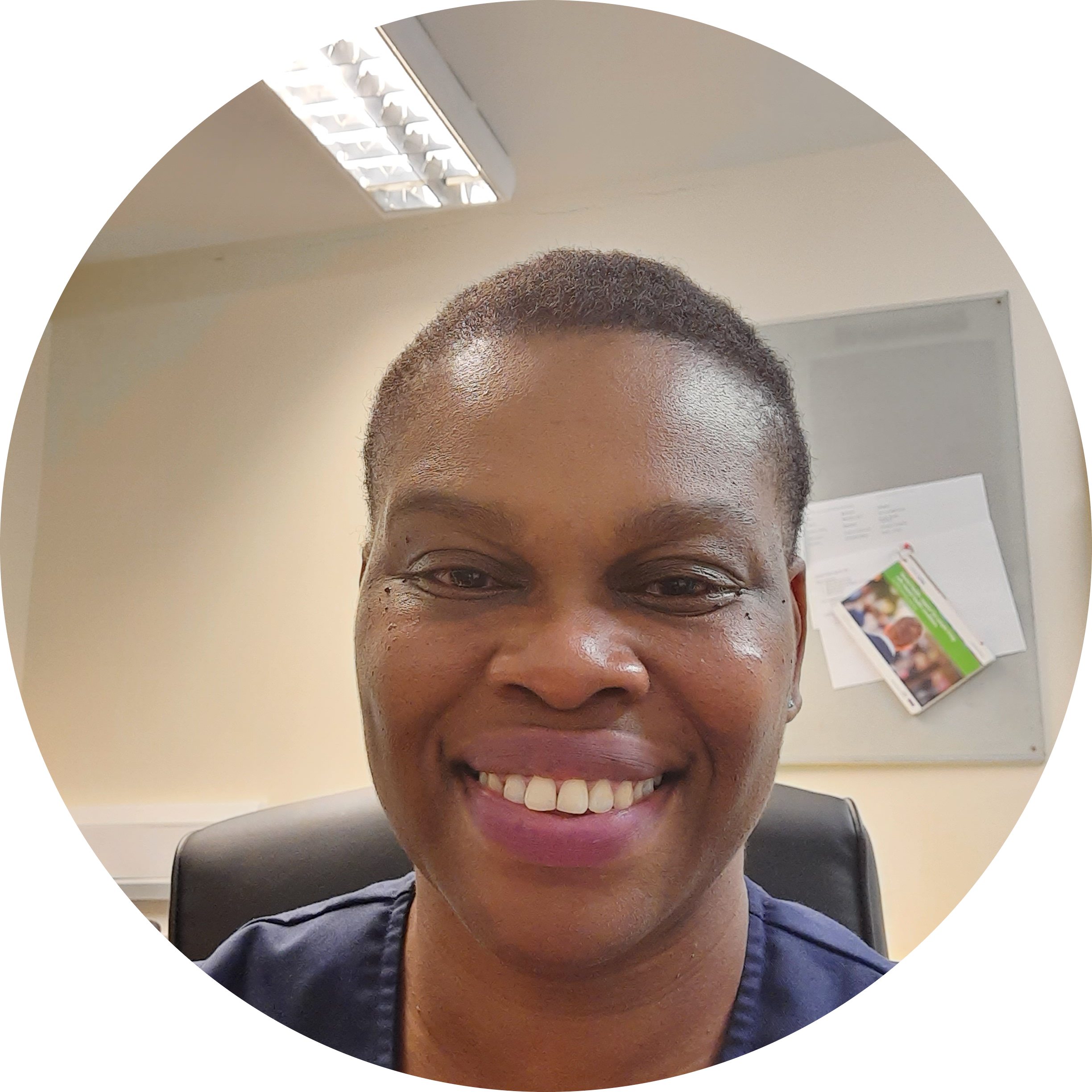 Go to the profile of Bisola Sonoiki