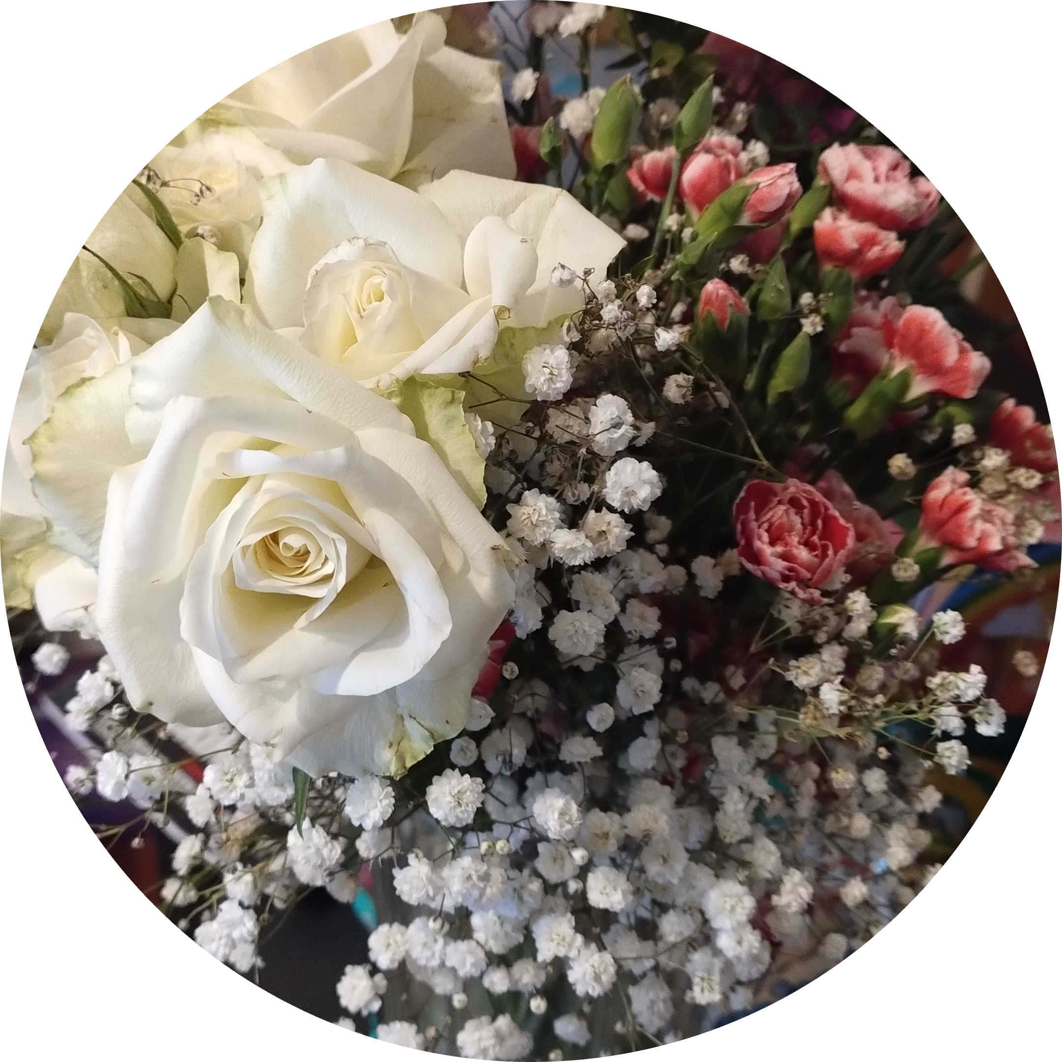 Go to the profile of Michelle Marshall